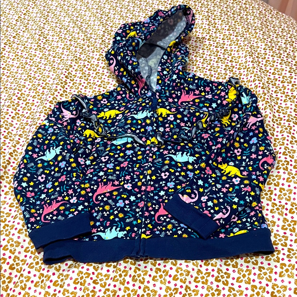 Little Me Multicolor Dinosaur Kids Hoodie